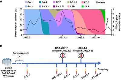 A long-term cohort study: the immune evasion and decreasing neutralization dominated the SARS-CoV-2 breakthrough infection